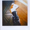 k_0020.jpg