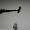 s_0043.jpg